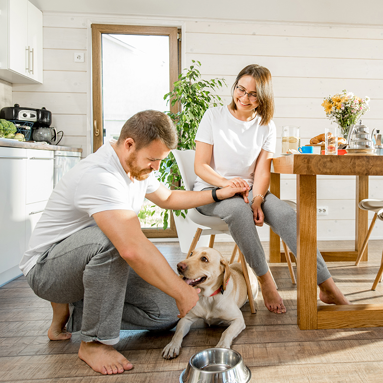 Woman sitting in a chair next to man kneeled down petting a dog in a kitchen.